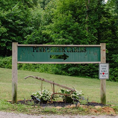 Pine Creek Cabins & Camping Resort South Bloomingville Екстер'єр фото